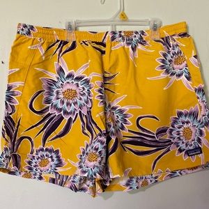 Patagonia Shorts